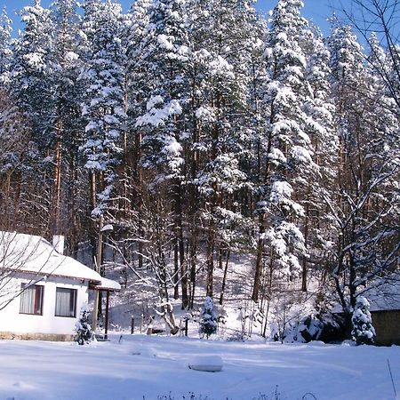 Holiday Home Tanevi Трявна Экстерьер фото