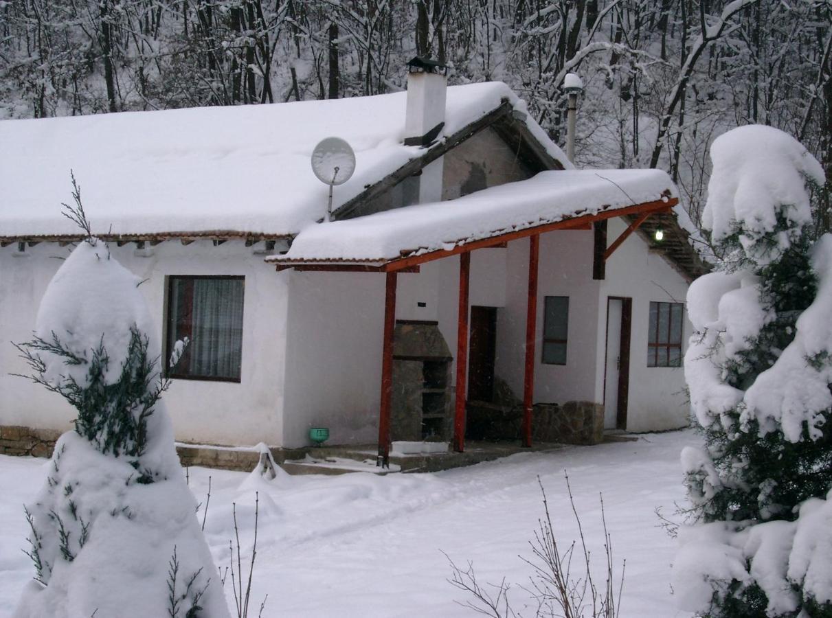 Holiday Home Tanevi Трявна Экстерьер фото